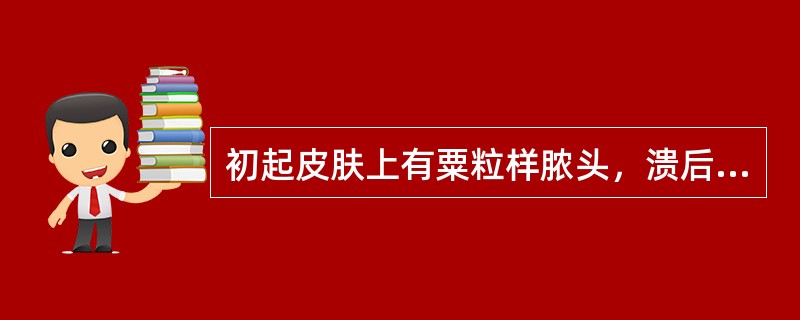初起皮肤上有粟粒样脓头，溃后状如蜂窝的疾病是（）