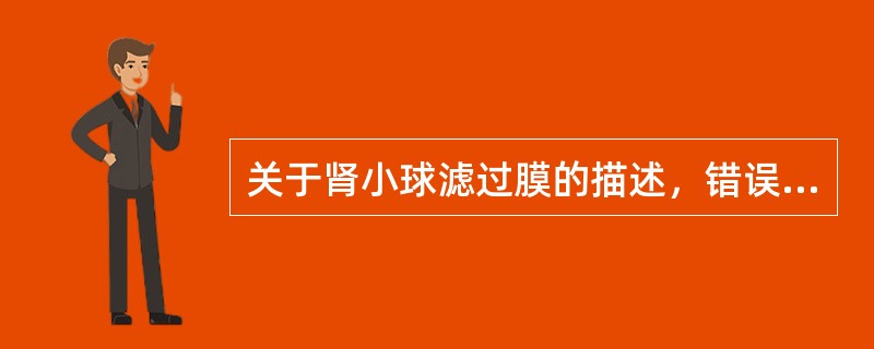 关于肾小球滤过膜的描述，错误的是（）。