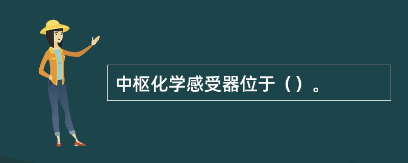 中枢化学感受器位于（）。