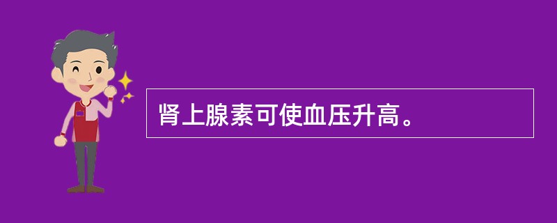 肾上腺素可使血压升高。