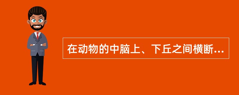 在动物的中脑上、下丘之间横断脑干后，将出现（）。