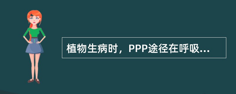 植物生病时，PPP途径在呼吸代谢途径中所占的比例（）。