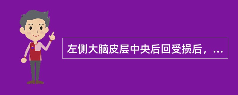 左侧大脑皮层中央后回受损后，躯体感觉障碍的部位是（）。