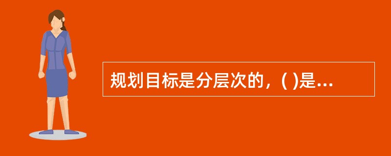 规划目标是分层次的，( )是第一层次的目标。