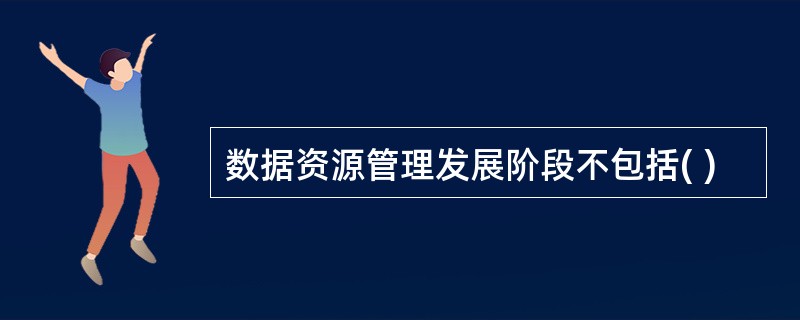 数据资源管理发展阶段不包括( )