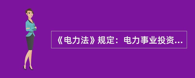 《电力法》规定：电力事业投资，实行( )的原则。