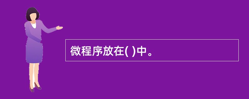 微程序放在( )中。