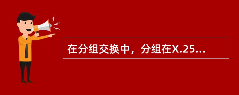 在分组交换中，分组在X.25的第三层进行处理，成为一个帧。( )