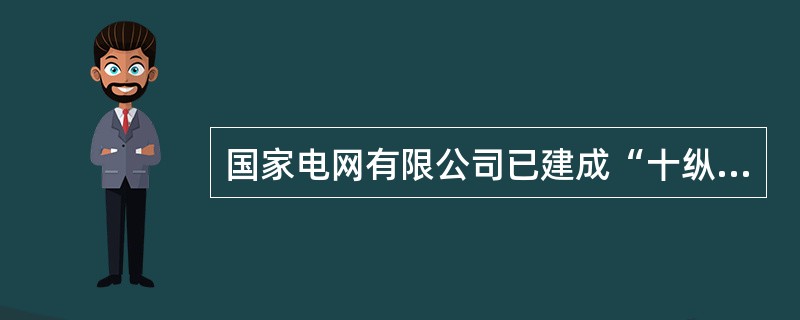 国家电网有限公司已建成“十纵十横两环”高速公路快充网络，形成了具有自主知识产权的中国充换电标准体系。( )