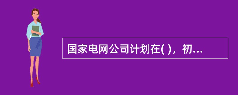 国家电网公司计划在( )，初步实现“两个一流”。